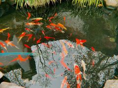 -莹珠阁·私房菜