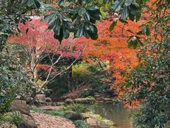 -中国茶叶博物馆(双峰馆区)
