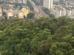 -金鸡山公园