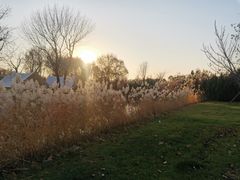 -安德鲁户外烧烤帐篷营地(马泉营店)