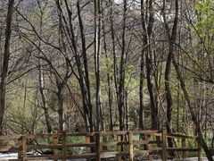 -叠溪松坪沟景区