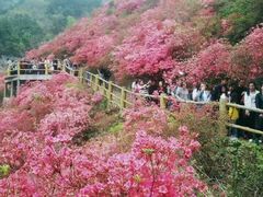 -木兰云雾山