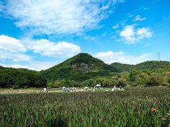 -八卦田遗址公园