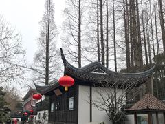 -上海醉白池公园