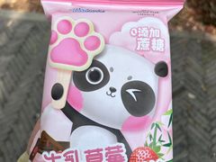 -苏州太湖国家湿地公园