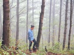 -苍山感通索道