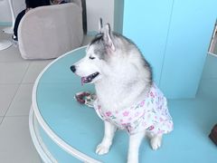 -怪兽屋·羊驼·猫咖·狗咖(俊华广场店)