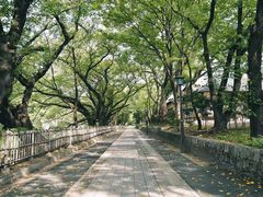 -名古屋城