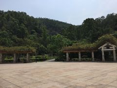 -火炉山森林公园