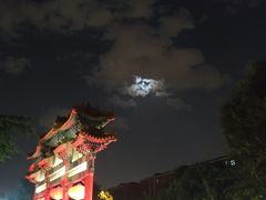 -九花山烤鸭店