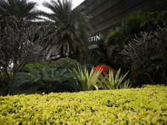 -广交会威斯汀酒店