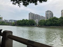 -润和祥小砵头甜酒酿