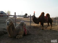 10-赛汗塔拉风情园