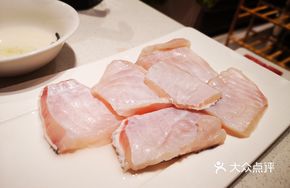 Spotted Catfish Belly