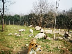 -西安秦岭野生动物园