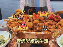 -老佛爷蛙锅•鲜蛙煲(麦凯乐店)
