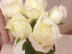 -循礼门鲜花花市(武汉循礼门店)