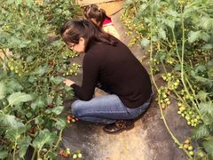 -兰陵国家农业公园