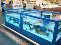 -麦德龙(浦东店)