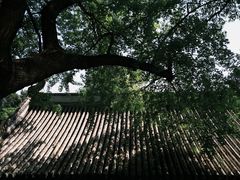 -潭柘寺景区