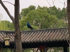 -武汉园博园(武汉自然博物馆)
