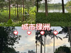 -雀儿山公园