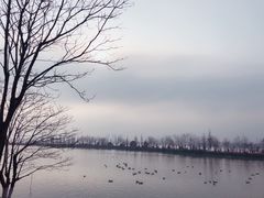 -瑶湖郊野森林公园
