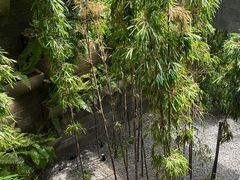 -樟宜机场免税店
