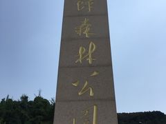 -铁山坪森林公园