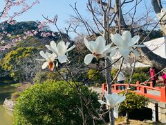 -鹤冈八幡宫