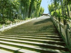 -蜀南竹海景区