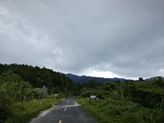 -海南热带雨林国家公园吊罗山景区