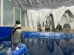 -太平洋海底世界