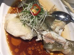 -至潮餐厅精致粤菜·活鲈鱼·走地鸡(珠江新城店)