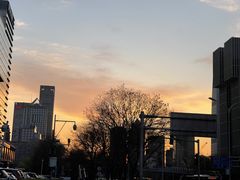 -羊守一(九棵树店)