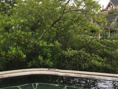 -广州锦绣香江度假别墅