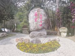 -莫里热带雨林景区