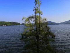 -天目湖山水园