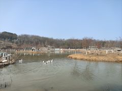 -佛手湖郊野公园