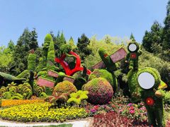 -东平国家森林公园