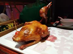 红烧乳鸽-大鸽饭(北京路店)