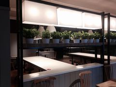 -肯德基(新八一店)