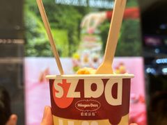 -哈根达斯(深圳海岸城店)