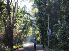 -孔雀湖生态旅游区
