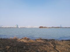 -长广溪湿地公园