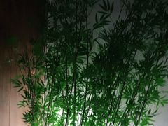 -新紫霞养生·影院足道·SPA(金山区店)