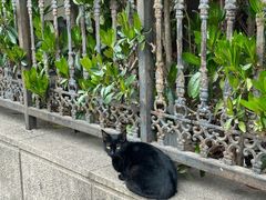 -上海市皮肤病医院(武夷路院区)