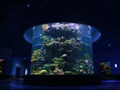 -多彩贵州城极地海洋世界