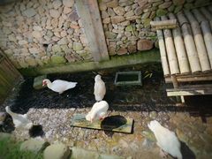 -溪口-滕头旅游景区