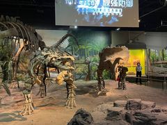 -天津自然博物馆